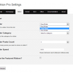 Wordpress Theme