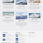 Wordpress Theme
